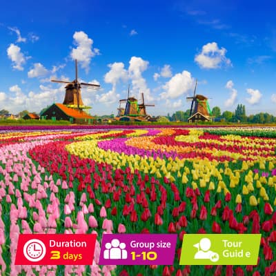 Tulip Garden Tour From London By Eurostar