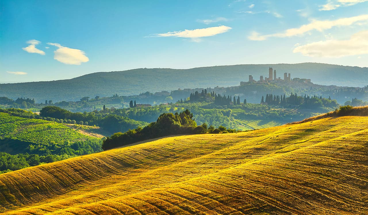 Tuscany & Siena Highlights: Day Trip from Rome