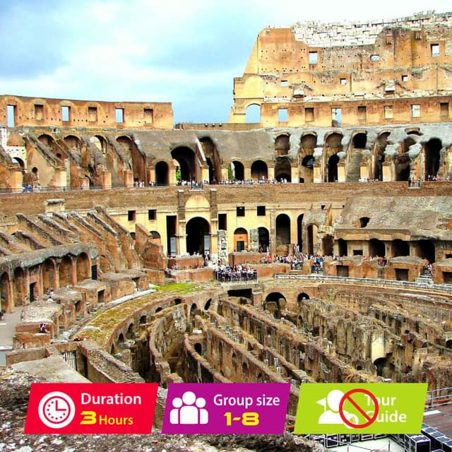 Rome: Colosseum Hosted entry, Roman Forum and Palatine hills with Arena Ticket